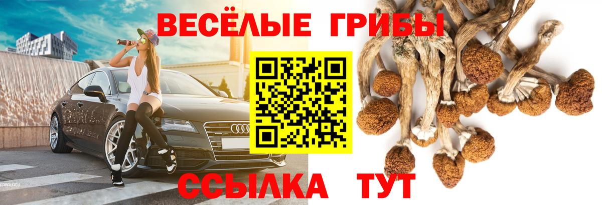 Псилоцибиновые грибы MAGIC MUSHROOMS  Вход с VPN  Грязи 